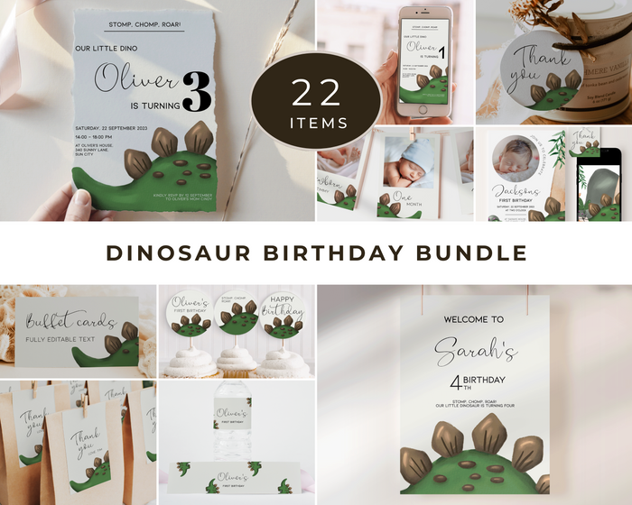 Dinosaur Birthday Party Mega Bundle